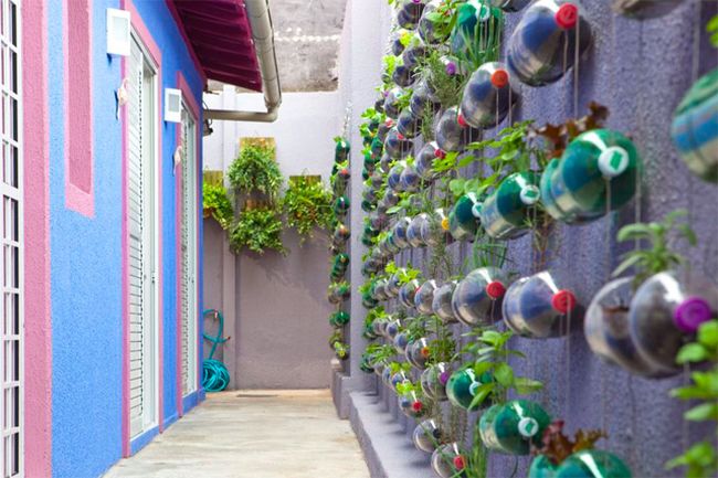 5 Cool Waste Management Ideas From The World That India Can Adopt   Vertical Garden Swachh India 