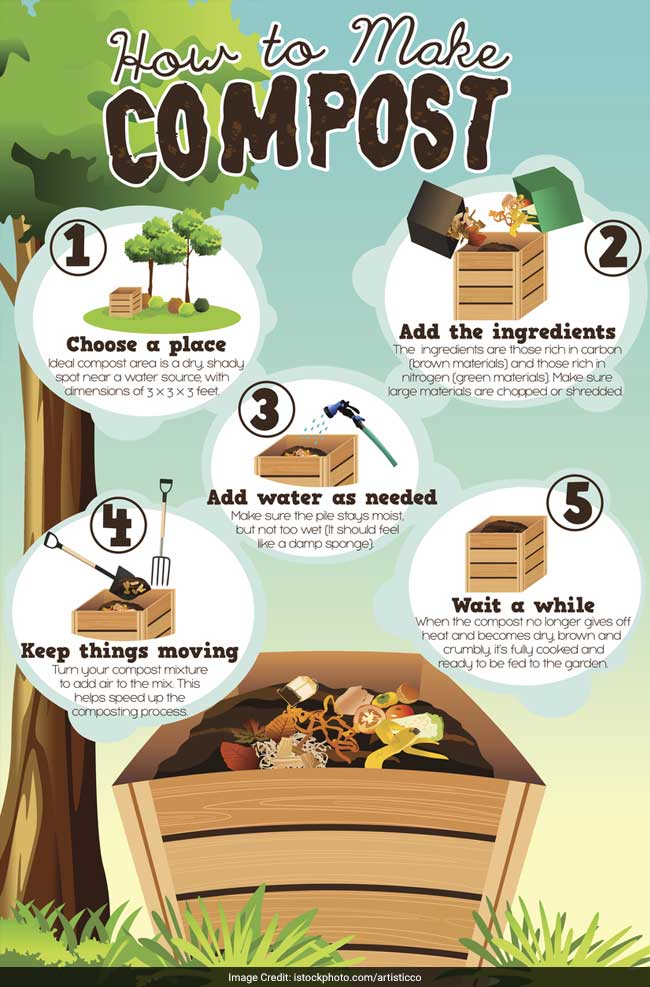 From Garbage To Garden: Learn The Art Of Composting At Home | Waste ...