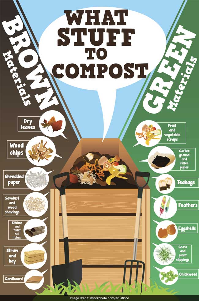 From Garbage To Garden Learn The Art Of Composting At Home Waste Management