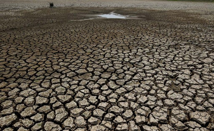 Gujarat: Only 21.74 Per Cent Water Left In 203 Dams Gujarat: Only 21.74 Per Cent Water Left In 203 Dams
