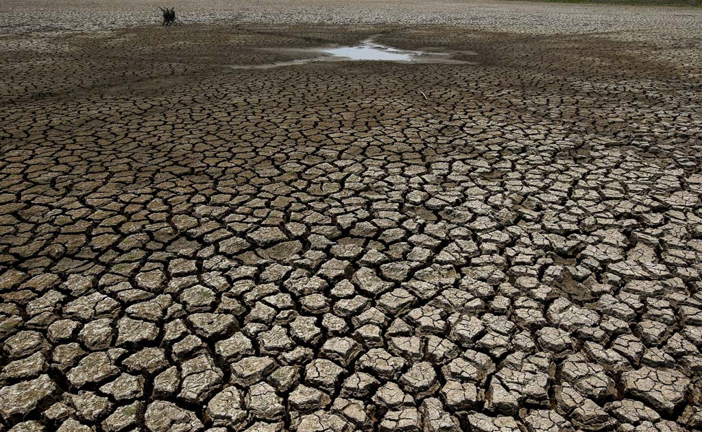 Gujarat: Only 21.74 Per Cent Water Left In 203 Dams