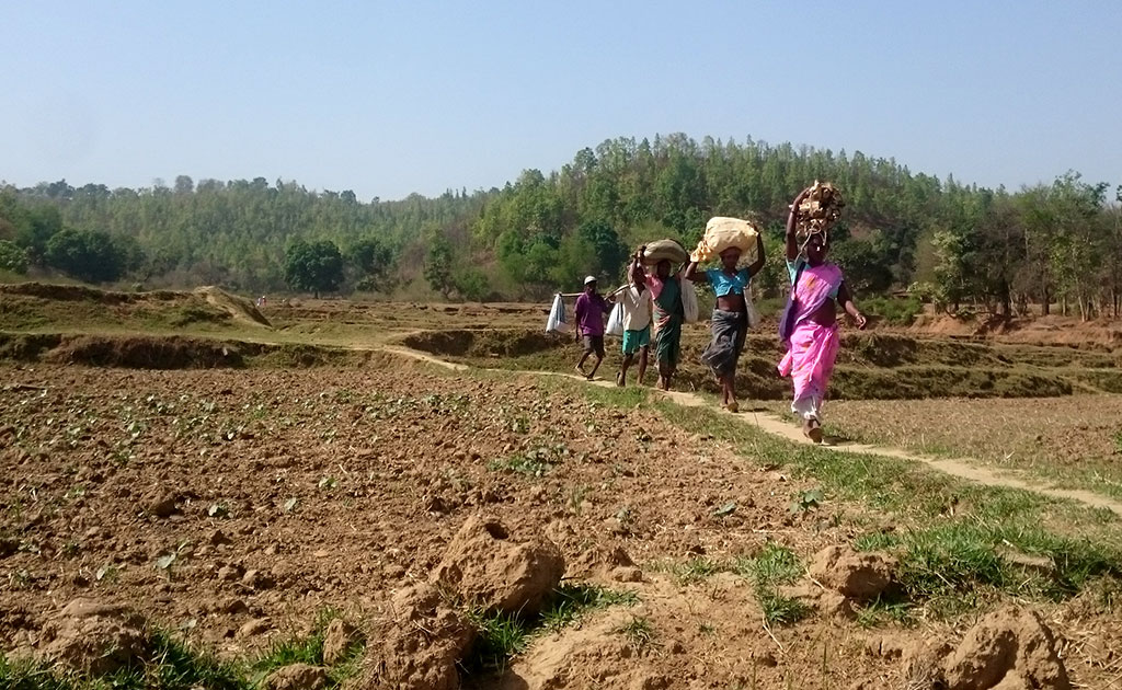 No Power Or Roads Ever And Now, No Water In This Jharkhand Village