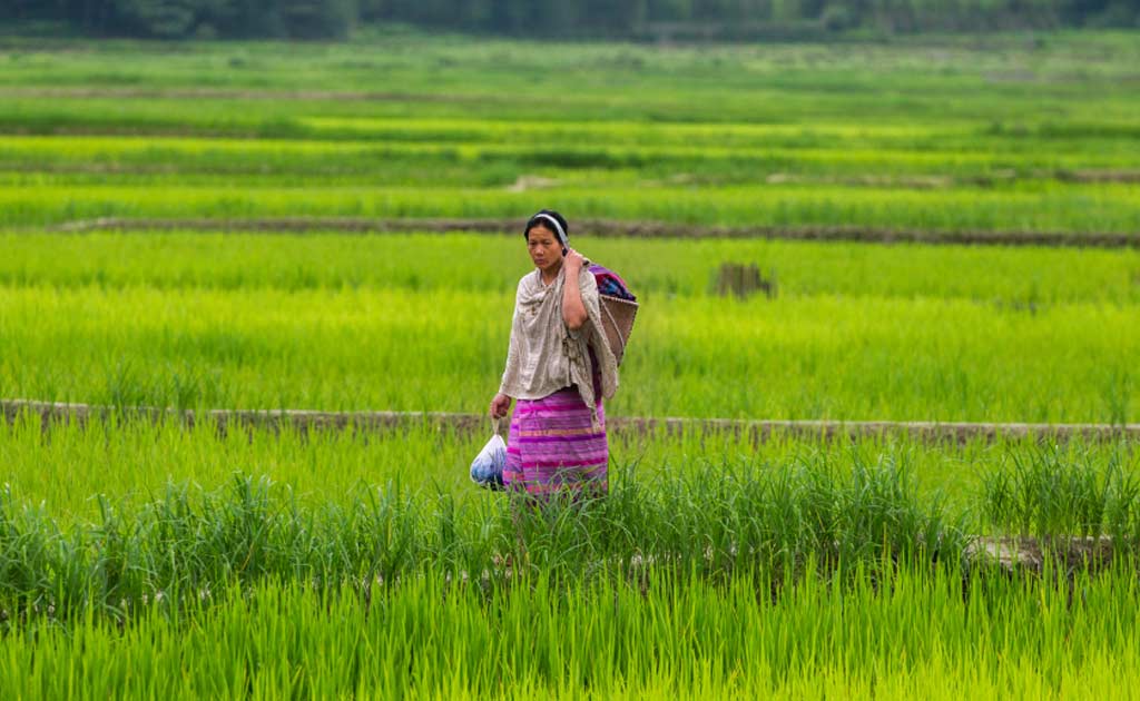 Partnership Model Changes The Face Of Public Health Care In Arunachal