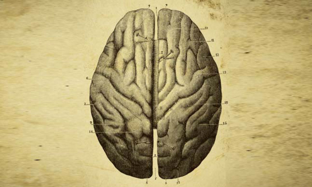 Why Forgetting May Be Good For Memory