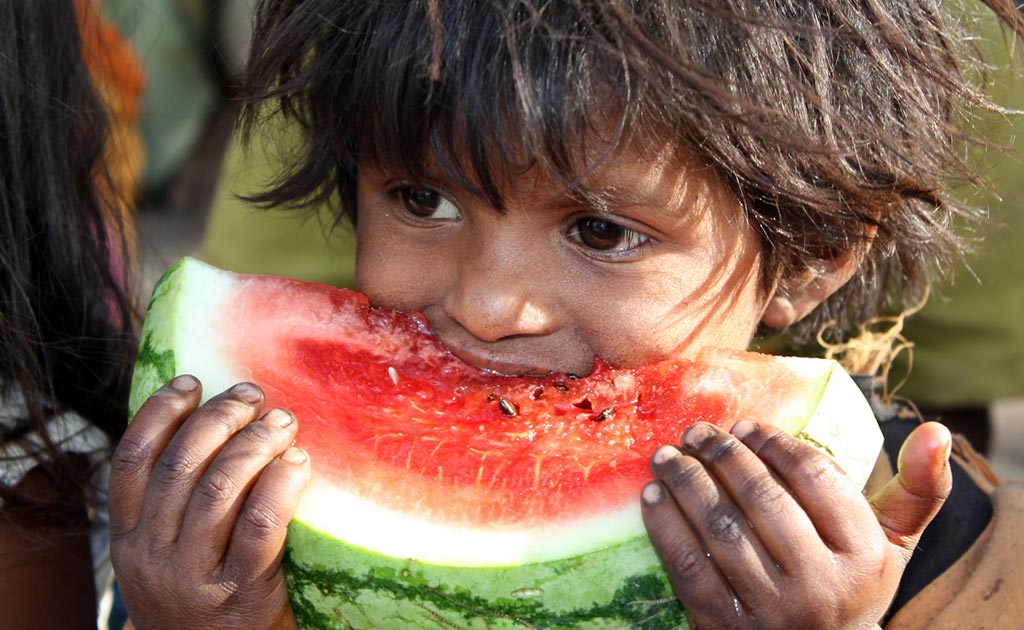 Hunger Early In Life Fuels Anger Later