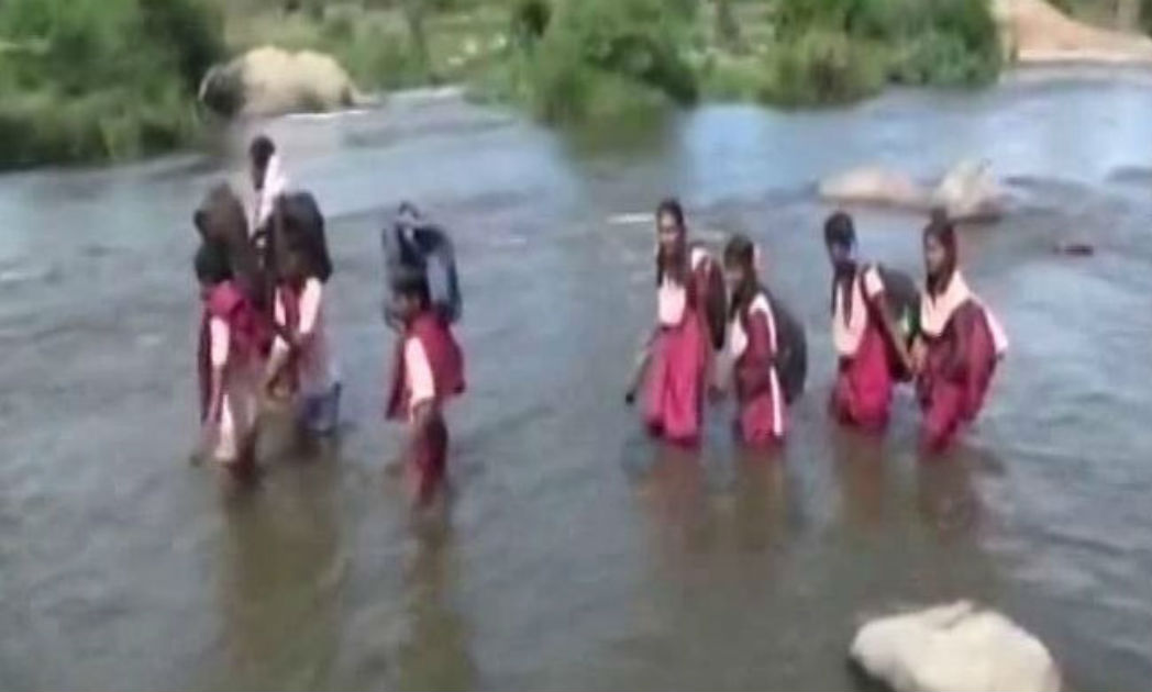 No Bridge On Tamil Nadu River, Children Cross It On Foot To Reach School