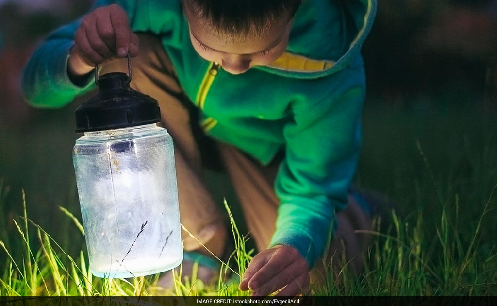 Nearly 35% Rural Households Still Bereft Of Electricity In India: Report
