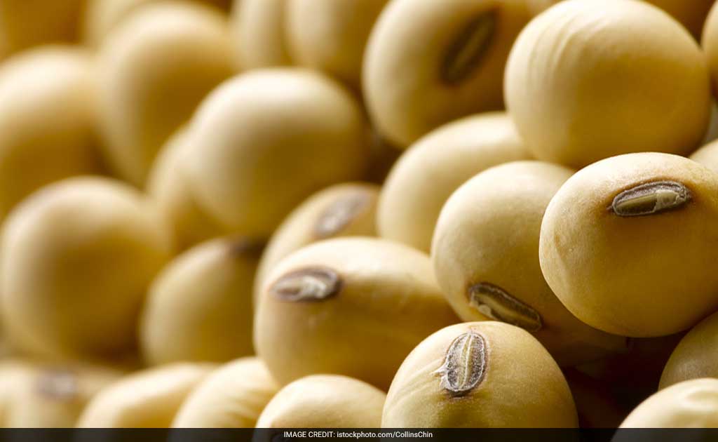 Soy Protein May Help Prevent Bone Loss In Adulthood: Study