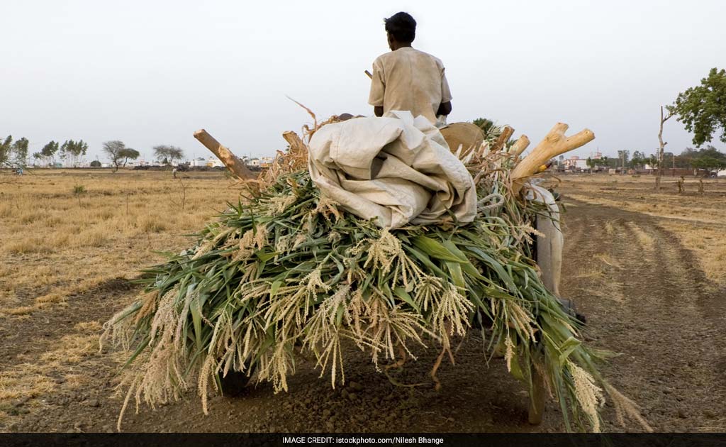 Telangana Farmers Who Own Land Have No Proof. How That&rsquo;s Changing