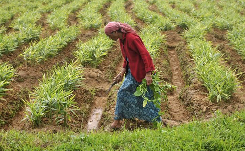 Caught In Debt Bondage, How India&rsquo;s Farm Labourers Suffer In Silence