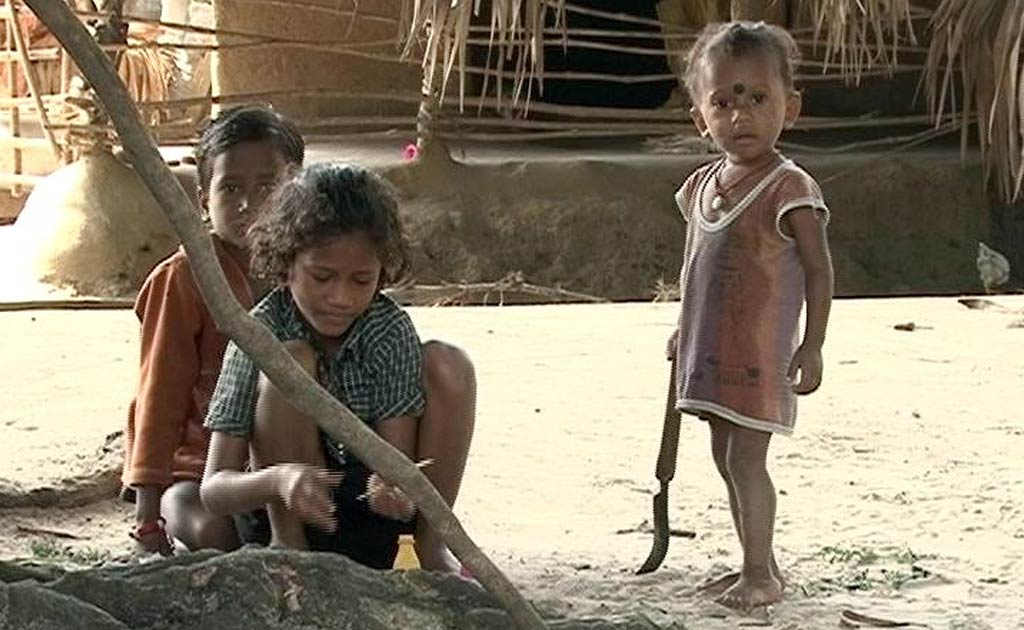 Kids Dying As Japanese Encephalitis Spreads Widely In Odisha's Malkangiri