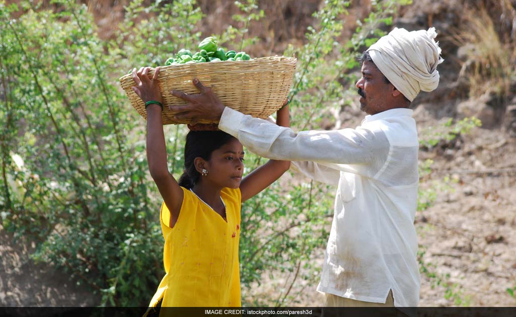 World Population Grows, Young Girls Struggle: United Nations