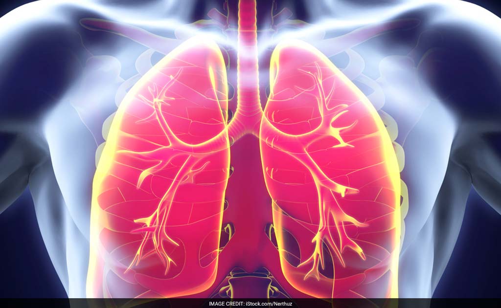 The Reason Behind Lungs Losing Their Ability To Heal