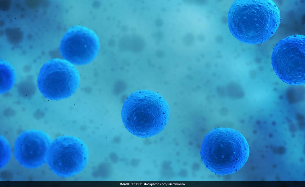 Synthetic Stem Cells Could Improve Therapy: Study