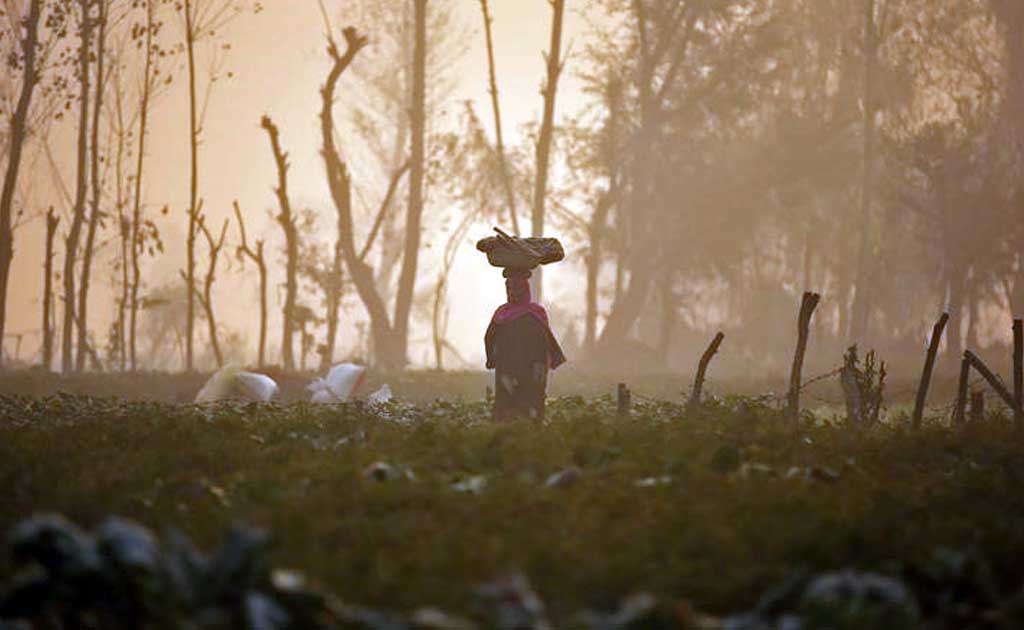 Women Farmers Battle Tradition, Self-doubt To Own Land In Uttar Pradesh Women Farmers Battle Tradition, Self-doubt To Own Land In Uttar Pradesh