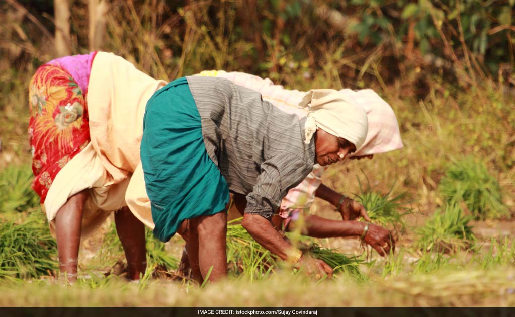 New Land Laws In Andhra Pradesh, Telangana Will Hurt Farmers, Say Activists