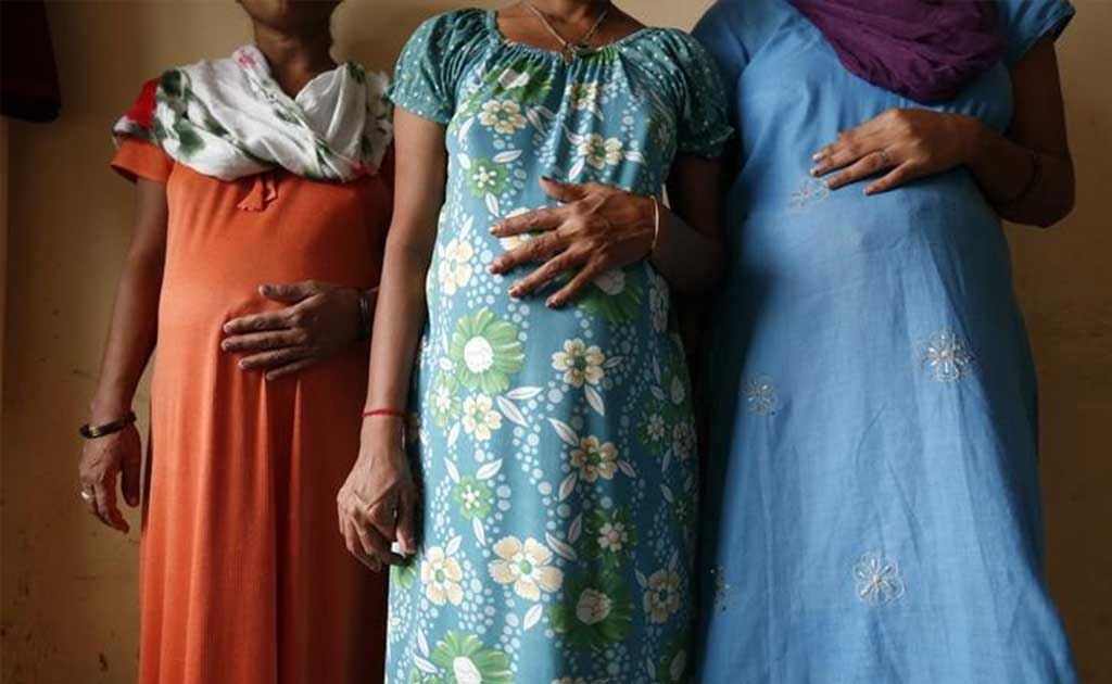 Fair Complexion Requested For Egg Donors. Photos Arrive On Phone Quickly