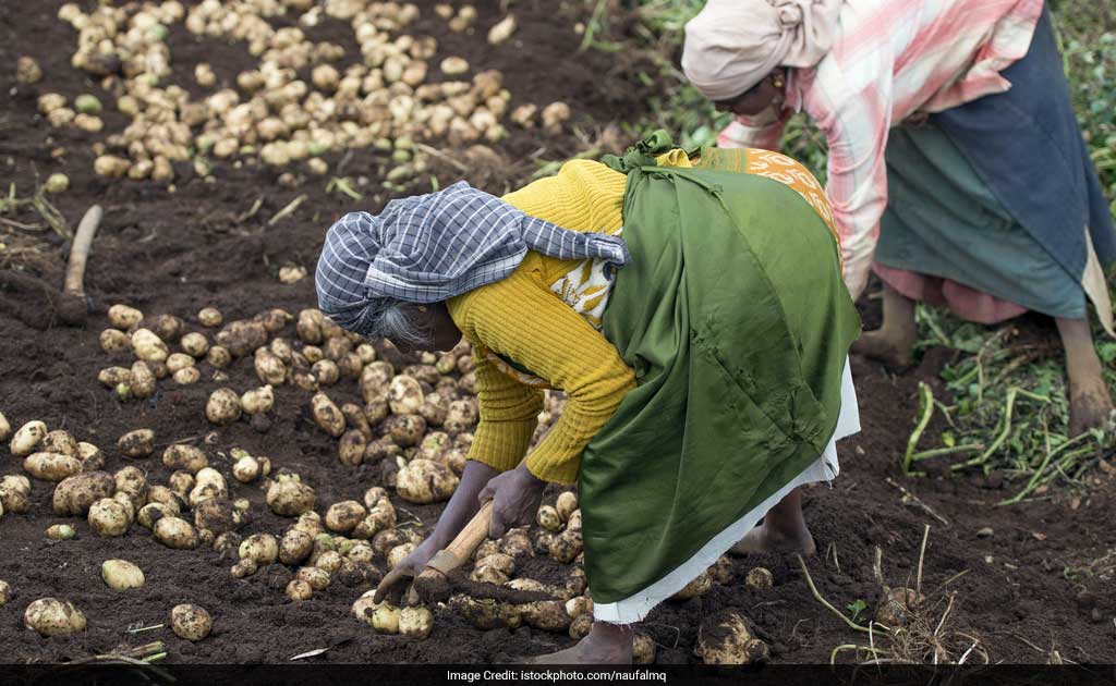 How Climate Changes Are Affecting The Rural Women In India