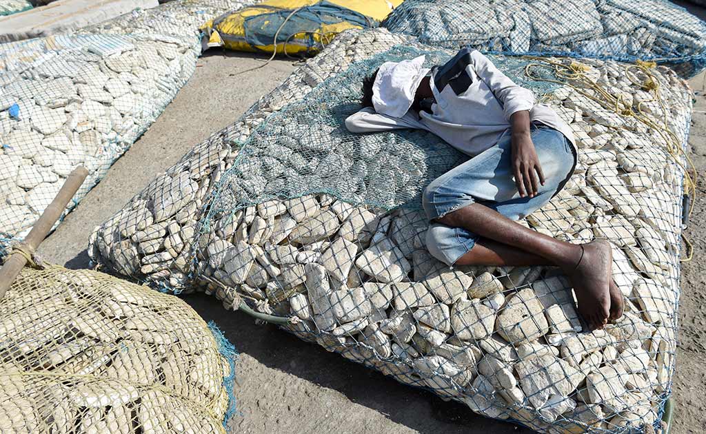 With Upcoming Shivaji Statue, Mumbai’s Fishing Community Fears Losing Livelihoods