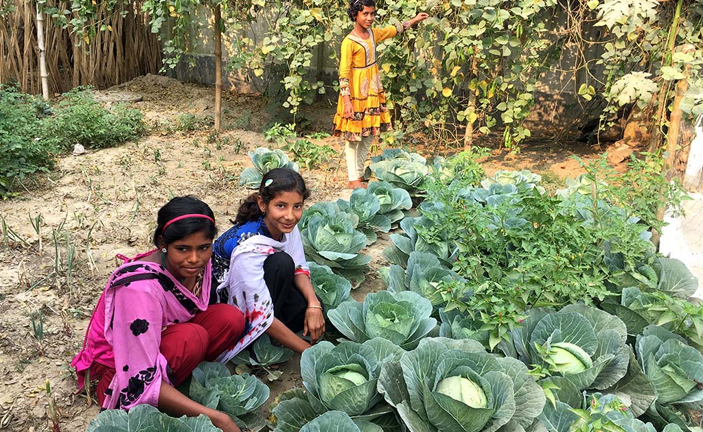 Vegetable Gardens Preventing Bengal Girls From Early Marriage, Trafficking