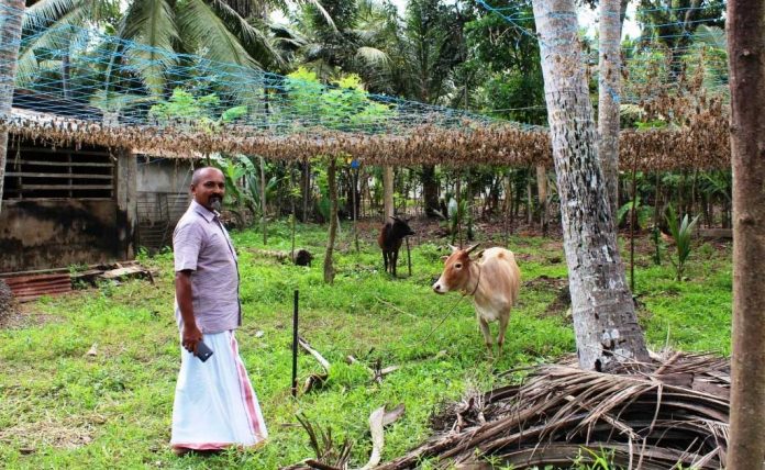 kerala