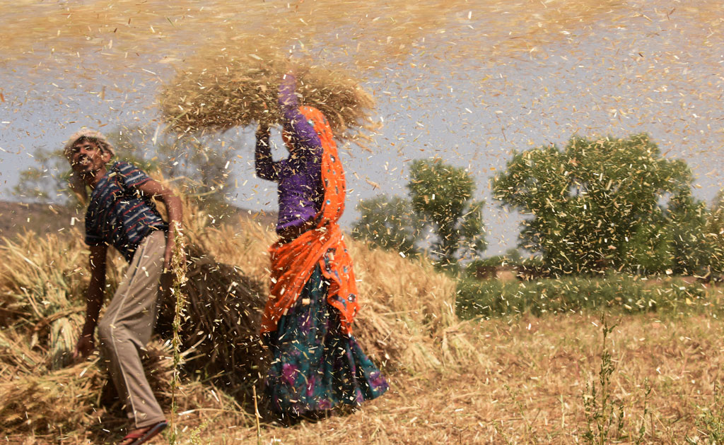 Farmers Commit Suicide As They Are Away From Natural Farming, Says Sri Sri Ravi Shankar