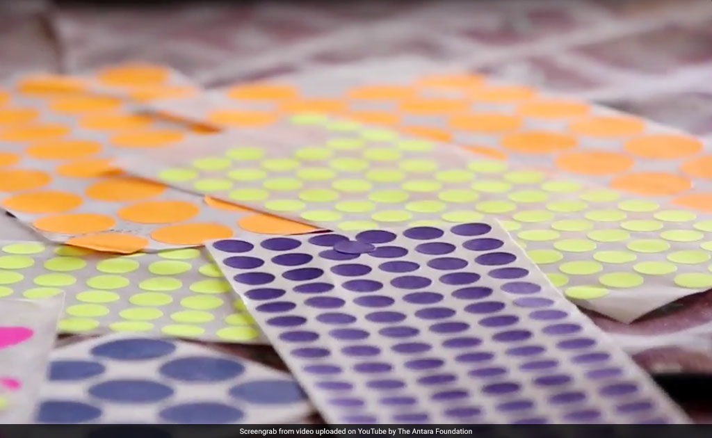 How Coloured Bindis Help Track Health Of Mothers And Babies In Rajasthan