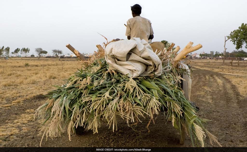 Now, Jharkhand Farmers To Get Loans At 1% Interest Rate