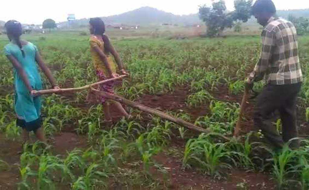 Farmer's Daughters Who Pulled Plough Can Now Go To School