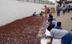 Students Create 10,000 Seed &lsquo;Bombs&rsquo; For A Greener Chennai