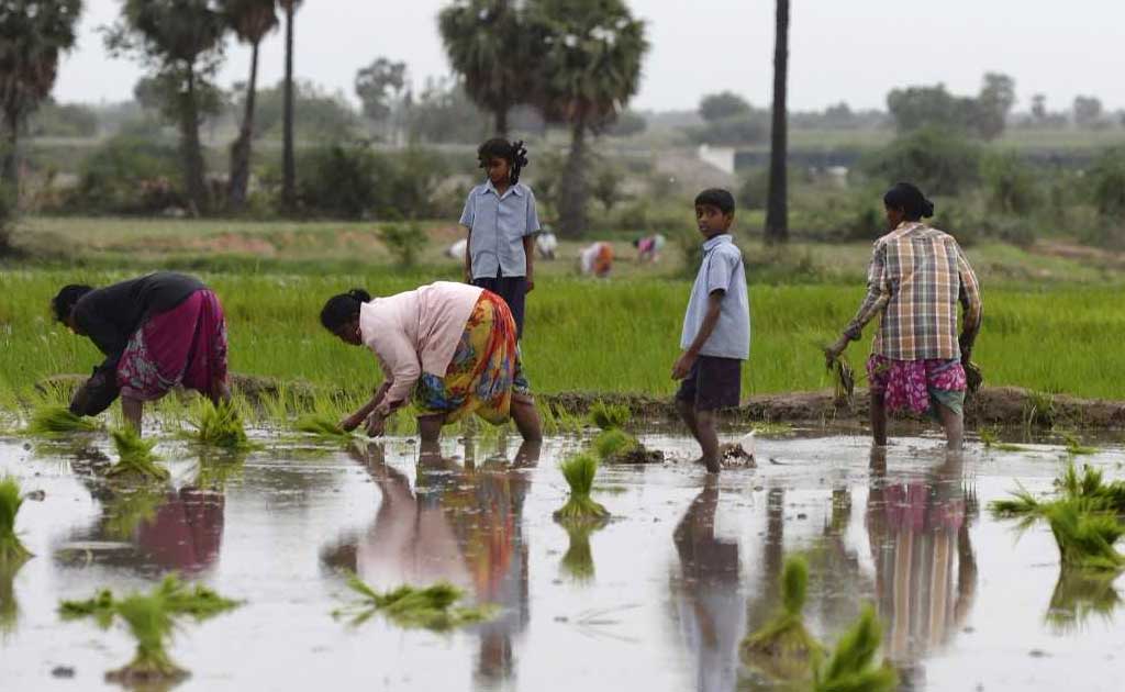 Free Trade Deal To Hurt Women Farmers, Say Activists