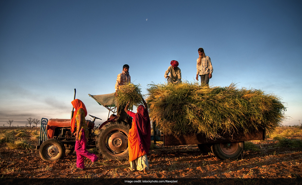 Forced To Work For 15 Hours Every Day, Labourers Freed After 7 Years From Rajasthan