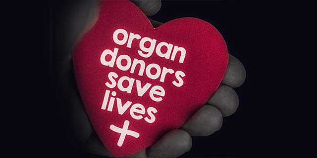 Why Organ Donation Day Activities Will Not Improve Organ Donation