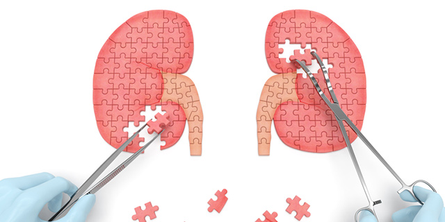 ‘220,000 Patients Need Renal Replacement Therapy Every Year In India’