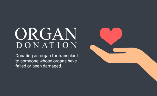 organ donation1