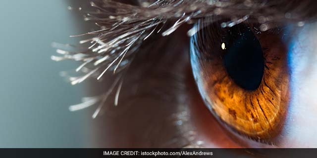 National Eye Donation Fortnight 2025: आंखों के लिए 20-20-20 का नियम क्या है? जानिए कौन लोग कर सकते हैं नेत्रदान? National Eye Donation Fortnight 2025: आंखों के लिए 20-20-20 का नियम क्या है? जानिए कौन लोग कर सकते हैं नेत्रदान?