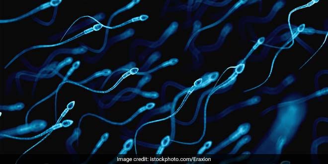 ज्यादा बार इजैक्युलेशन से बढ़ सकती है पुरुषों की फर्टिलिटी, रिसर्च में हुआ चौंकाने वाला खुलासा