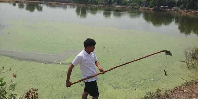 Ramveer Tanwar has rejuvenated 10 waterbodies since 2015