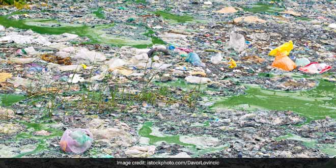 Himachal: सोलन की प्यास बुझाने वाली अश्वनी खड्ड पर संकट, पर्यटकों की मस्ती से दूषित हो रहा पानी