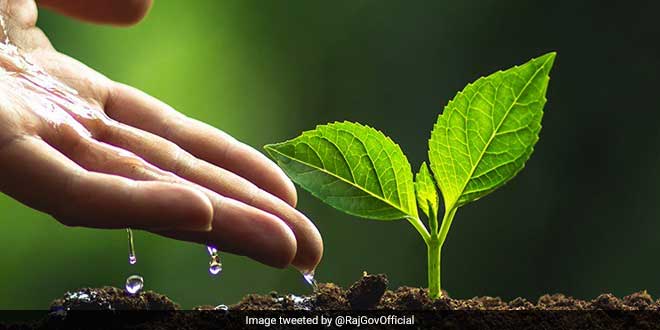 हरियाली अमावस्या पर राशि के अनुसार पौधे लगाने से बदलेगी किस्मत, कटेंगे सारे कष्ट