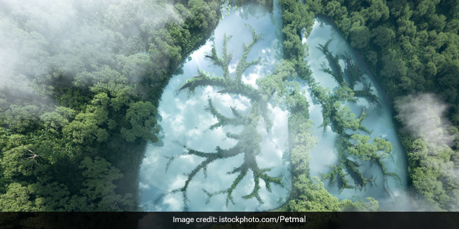 "24 Million New Jobs By 2030": Explore Top 5 Climate Programmes To Pursue In UK