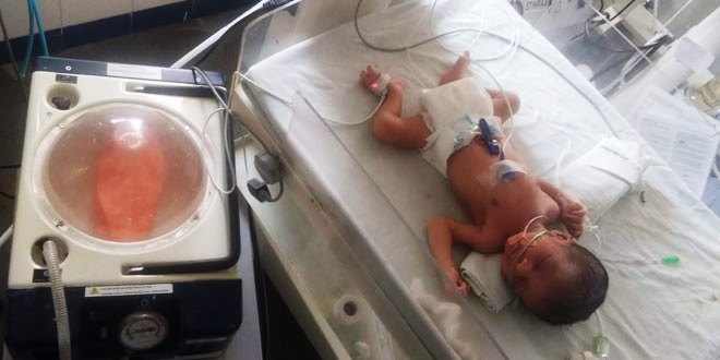 World Prematurity Day 2025:  क्यों प्रीमैच्योर बेबी को खतरा रहता है ज्यादा खतरा, कितने प्रतिशत रहते हैं जीवित? World Prematurity Day 2025:  क्यों प्रीमैच्योर बेबी को खतरा रहता है ज्यादा खतरा, कितने प्रतिशत रहते हैं जीवित?