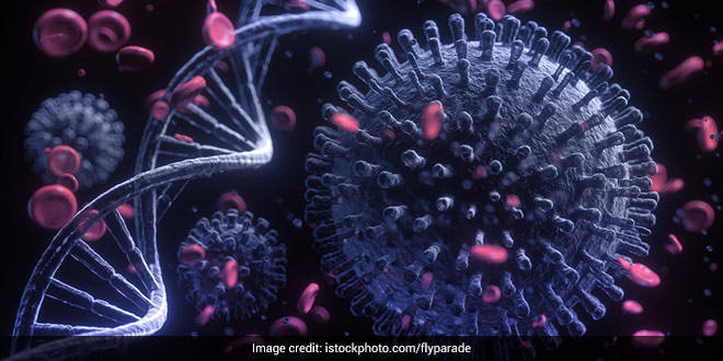 Explainer: कैसे म्यूटेट करता है कोरोना वायरस, डॉक्टर ने बताया कौन सा वेरिएंट है सबसे खतरनाक? Explainer: कैसे म्यूटेट करता है कोरोना वायरस, डॉक्टर ने बताया कौन सा वेरिएंट है सबसे खतरनाक?