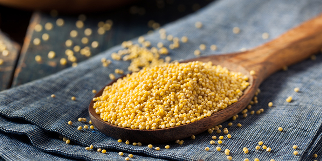 Health And Nutrition: Are Millets Good For You?