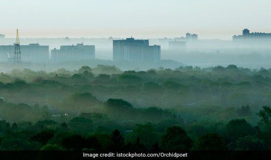 Need Coordinated Effort By Central, State And Local Admins To Improve Air Quality: Union Environment Minister Bhupender Yadav
