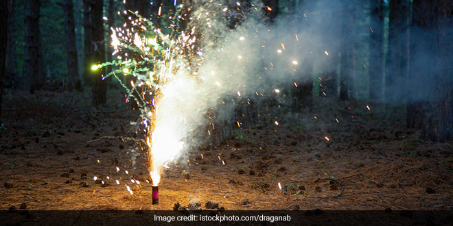 Debate On Delhi&#039;s Firecrackers Ban Is Not New. It Traces Back To 1961