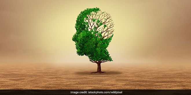 Opinion | The Comfort of Denial: Why We Ignore the Climate Collapse Opinion | The Comfort of Denial: Why We Ignore the Climate Collapse