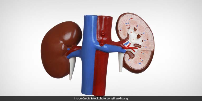 बुरी तरह से किडनी खराब होने पर शरीर में दिखने लगते हैं ये 5 बदलाव, अक्सर सामान्य समझकर ध्यान नहीं देते लोग बुरी तरह से किडनी खराब होने पर शरीर में दिखने लगते हैं ये 5 बदलाव, अक्सर सामान्य समझकर ध्यान नहीं देते लोग